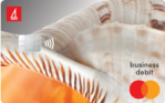 Mastercard Business Debit