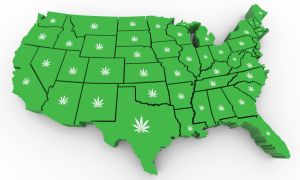Emerald cannabis federal featured