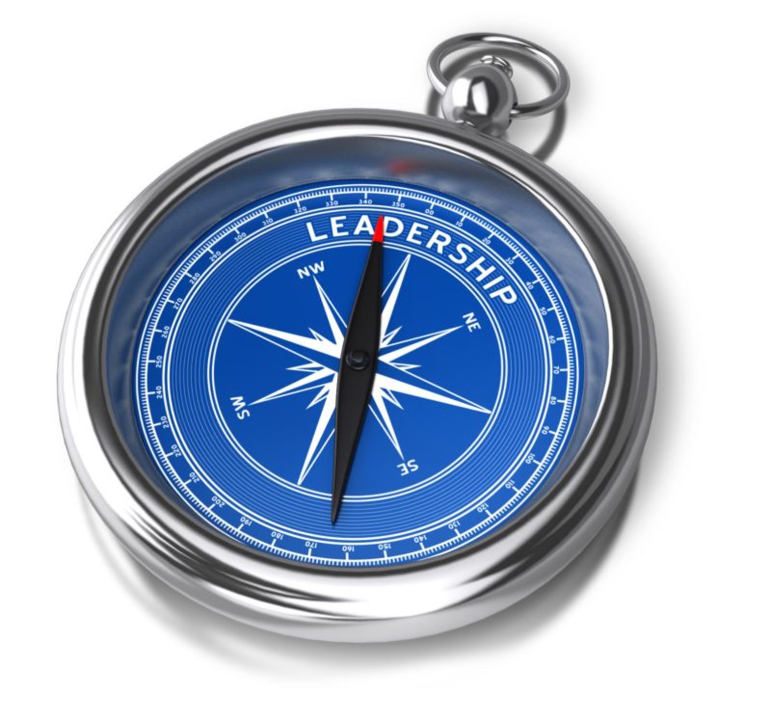 Compass leadership direction 800 wht