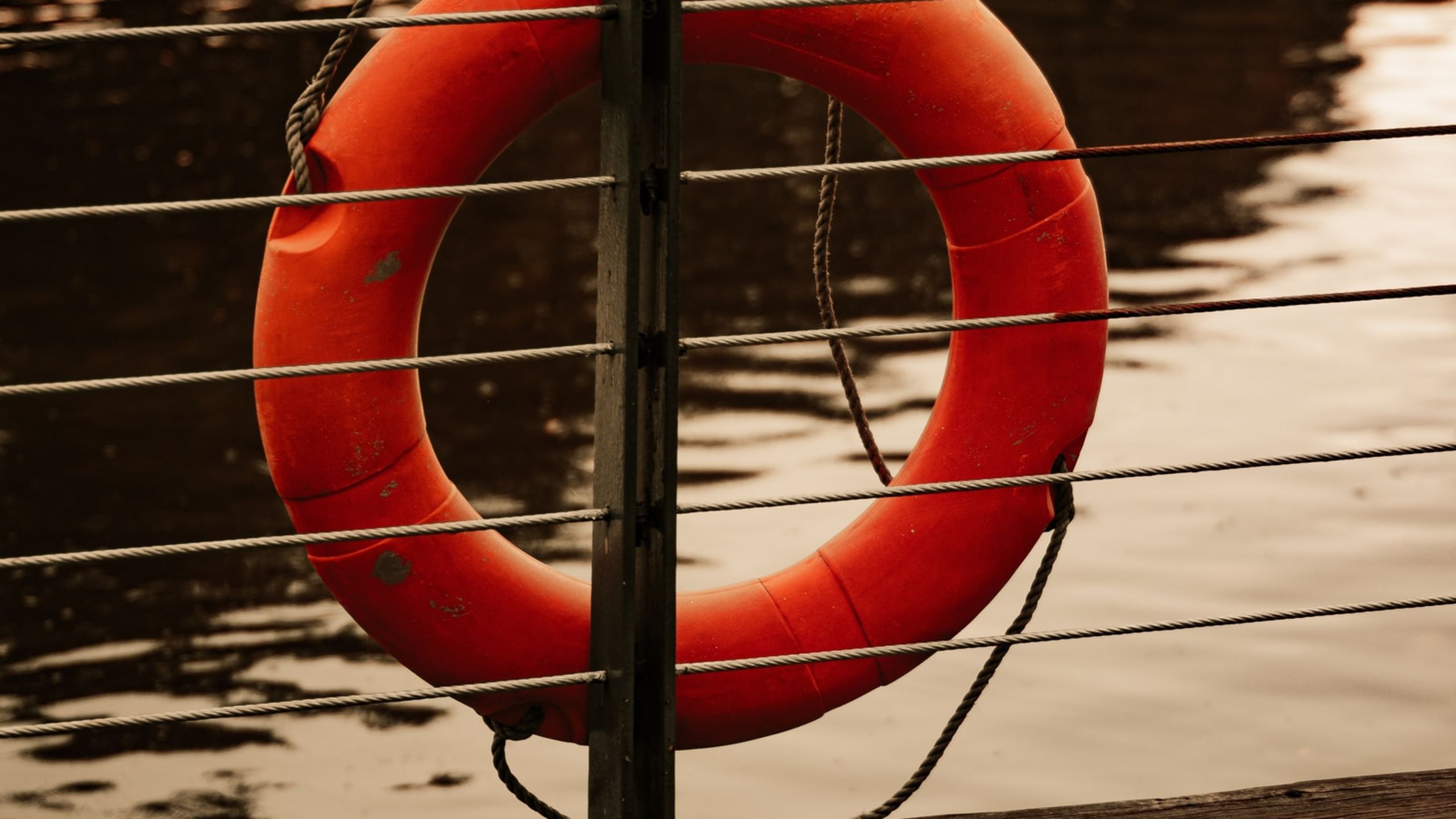 life preserver