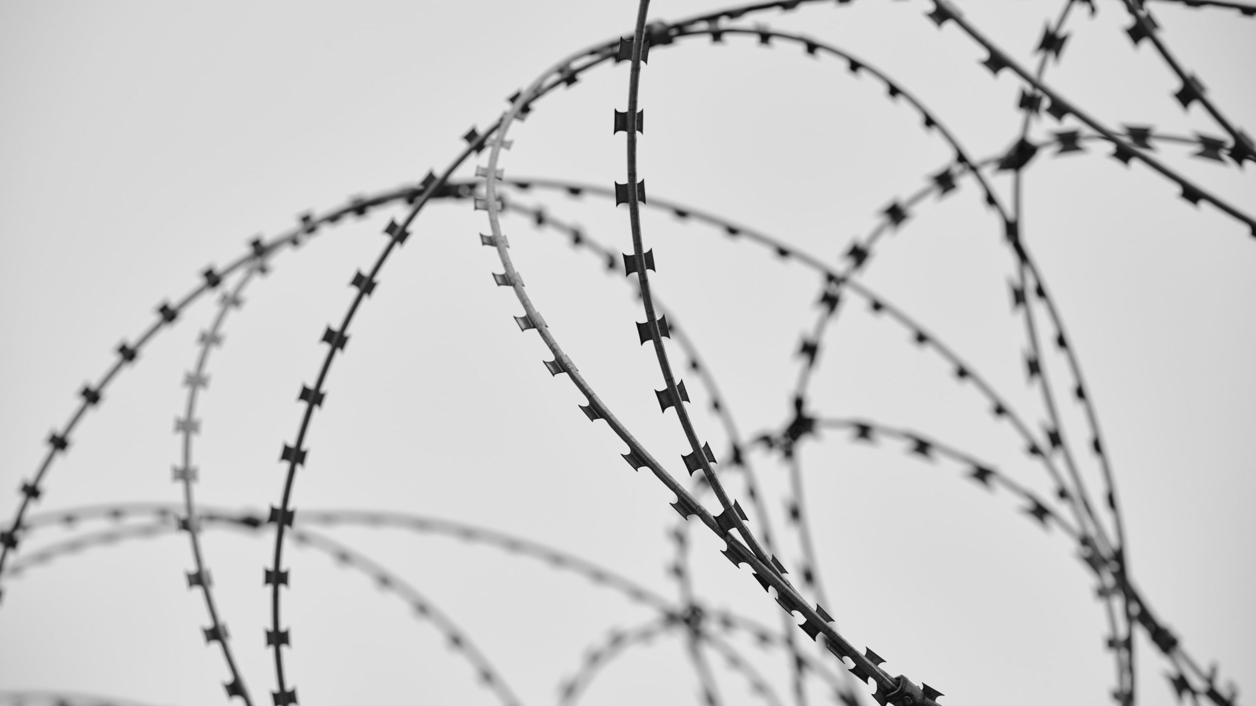 barbed wire