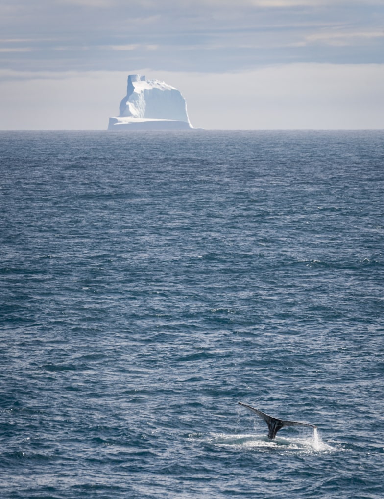 The Magnetic South Pole, a legendary geographical point