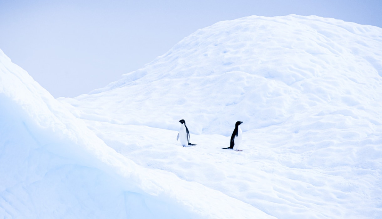 Sur la glace