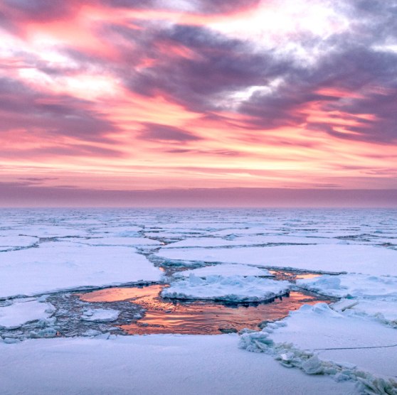 Sur la glace