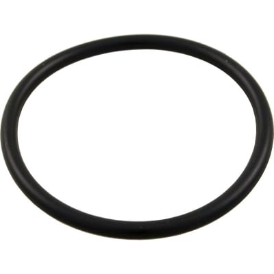 O-Ring (SP-1425)