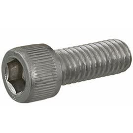 Impeller Locking Screw For EQ/Purex C Series