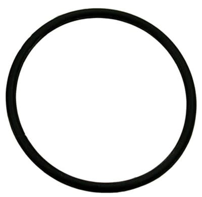 O-Ring For Autoclear