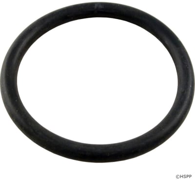 Piston Assembly O-Ring
