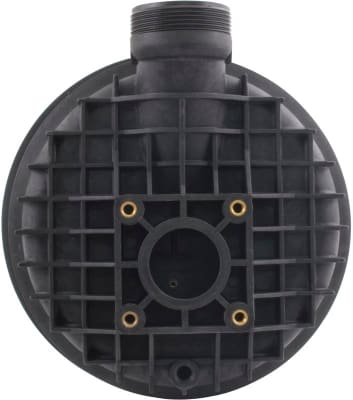 Volute, Dominator