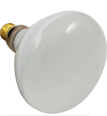 500W Replacement Flood Lamp Bulb, 120V 