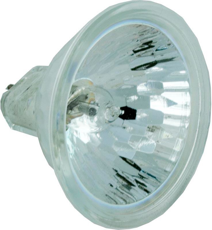 Bulb, 75W 12V, Halogen