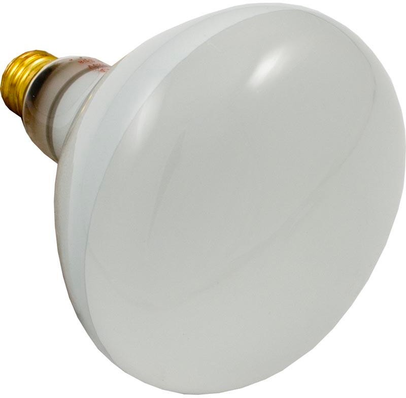 Replacement Bulb, 500W 120V