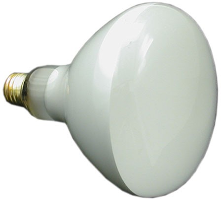 Replacement Bulb, 300W 12V - Medium Base
