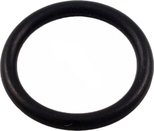 1" O-Ring