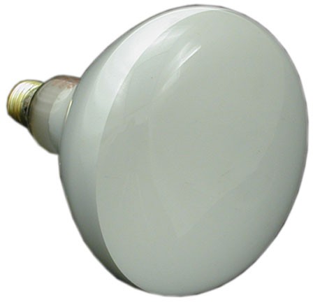 500W Bulb, 120V, Medium Base, R-40