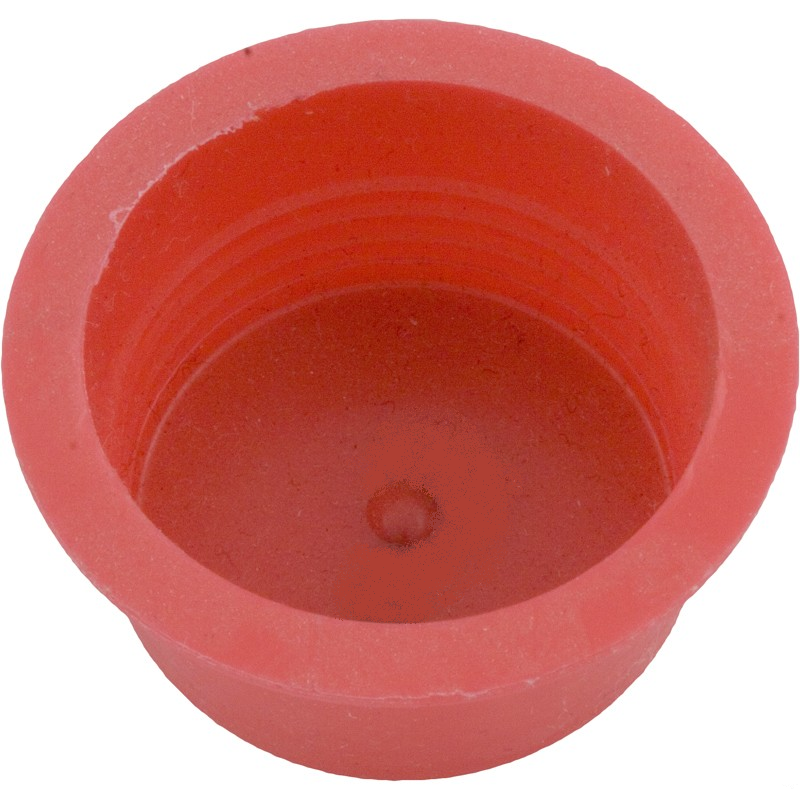 Protector Cap for Standpipe