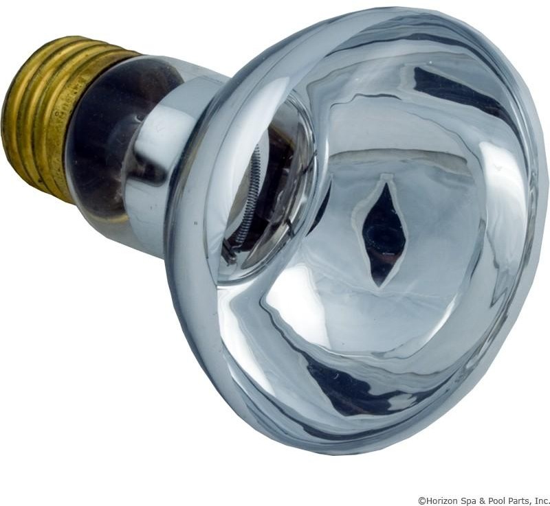 Replacement 100W Bulb, 12V