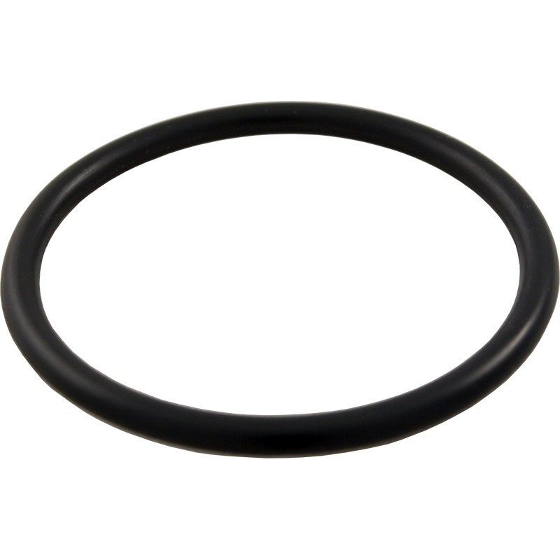 Genuine OEM Drain Plug O-Ring For Clean & Clear Plus