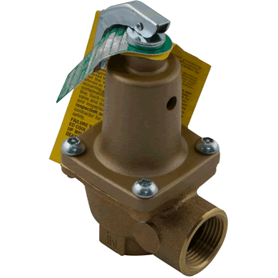 Genuine OEM Pressure Relief Valve 125 PSI