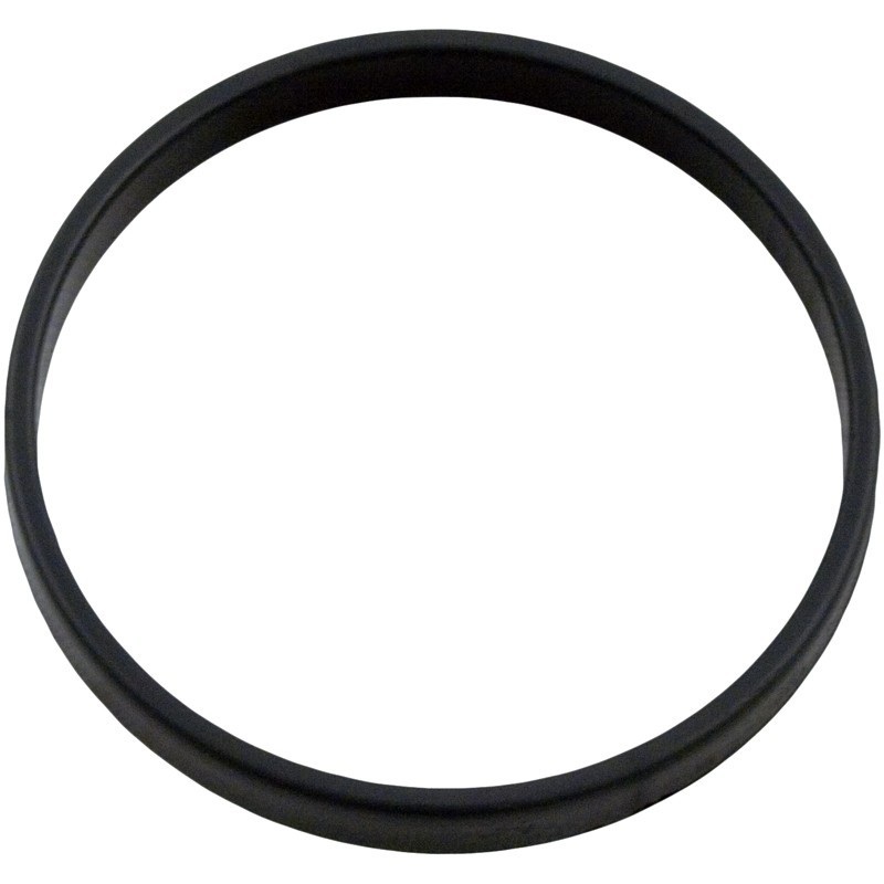 DIAPHRAGM RETAINING RING W81600