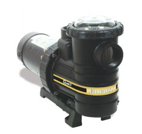 1HP Cygnet II Pump 115/230V