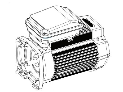 Max Rite Green Max-Rite Max-E-Pro Motor 1HP 3-Phase 50Hz