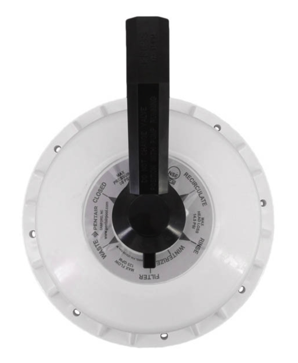 Amazon.com: Pentair 272422 Valve Top Assembly Replacement Hi