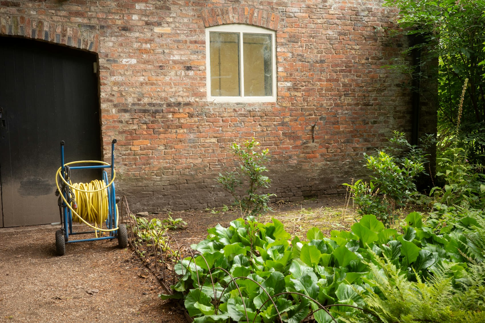Garden hose reel and cart beside lush green garden plants