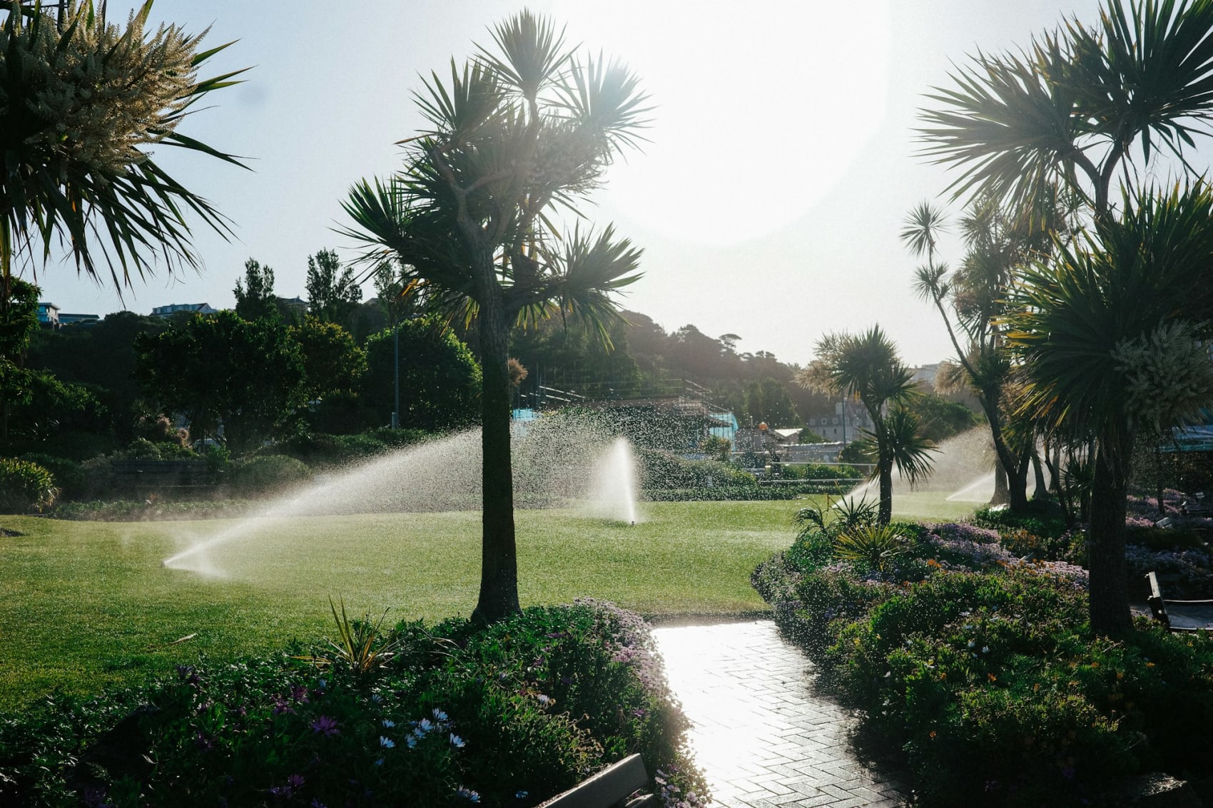 Pop-up sprinklers watering a lush green garden lawn