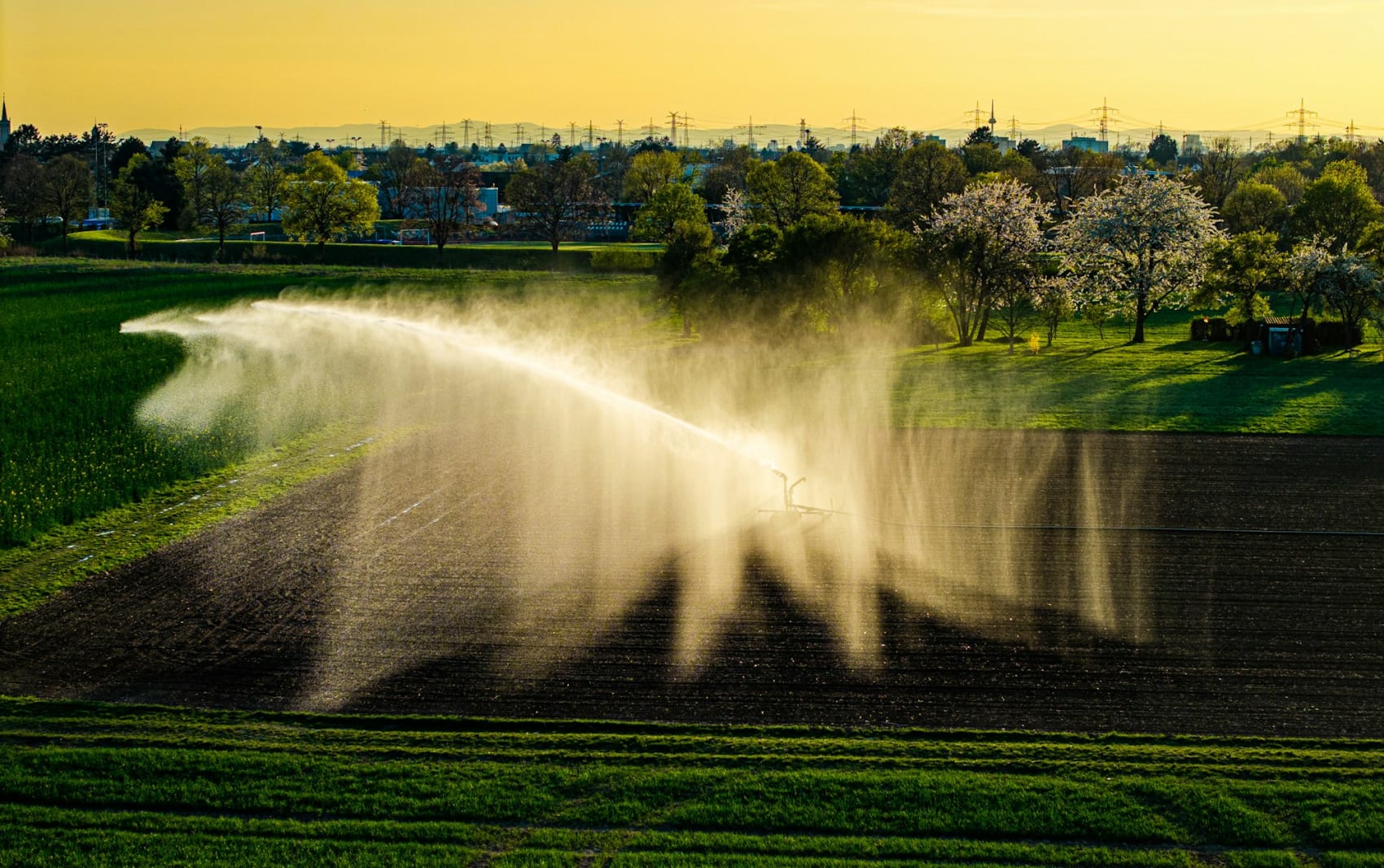 Irrigation rotor throwing a long arc of water across turf at sunset