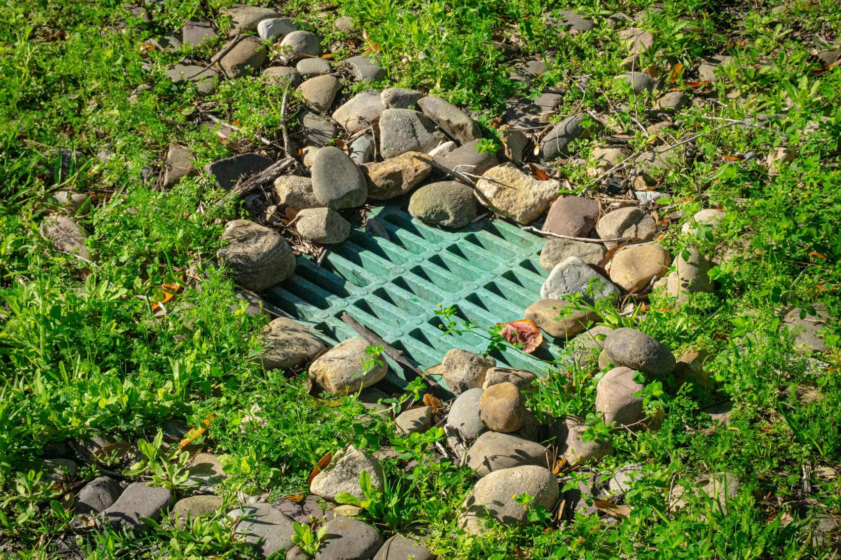 Yard drainage grate set in landscaping rocks and grass