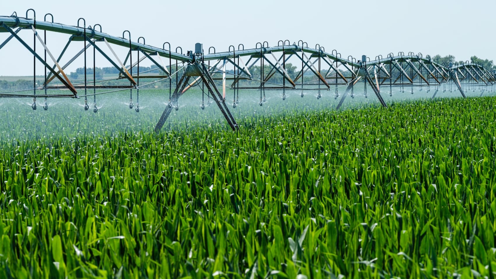 Irrigation system watering a green field