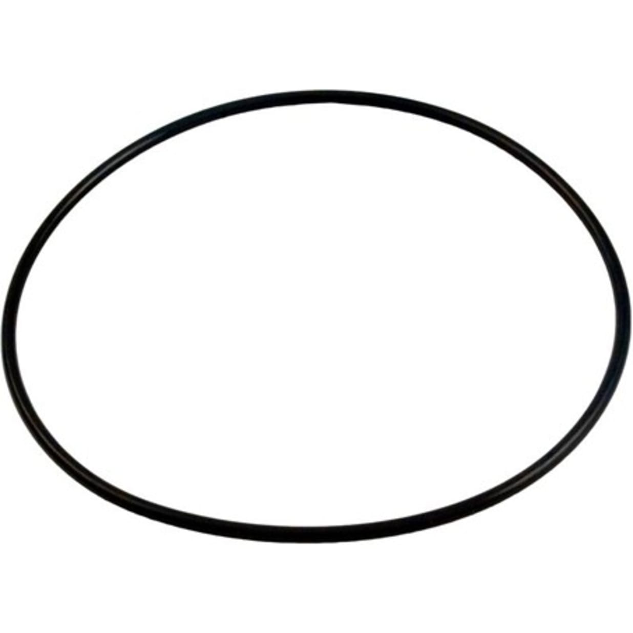 MaxFlo II Strainer Cover O-Ring