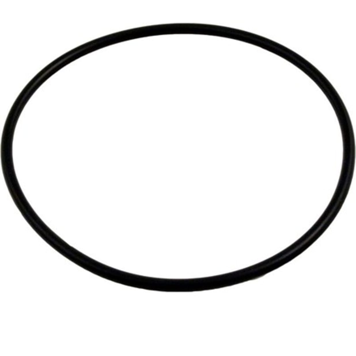 Replacement Lid O-Ring