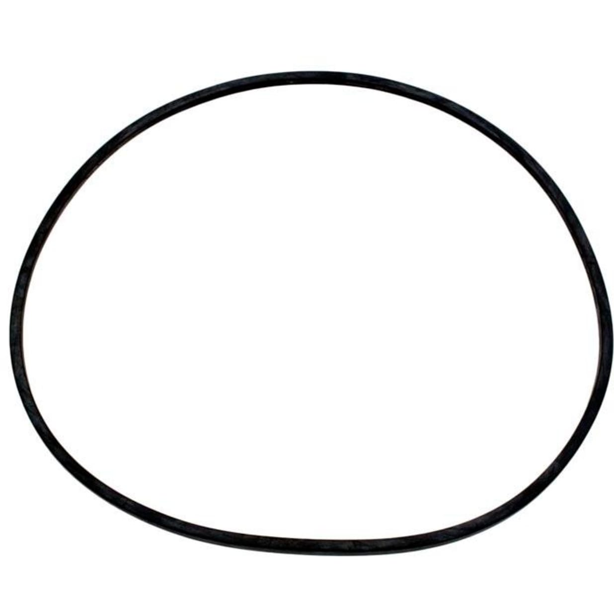 Seal Plate O-Ring