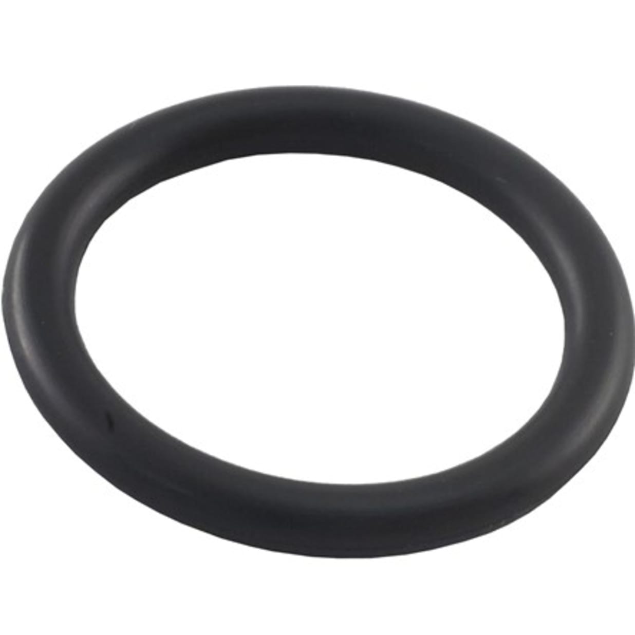 Check Valve O-Ring