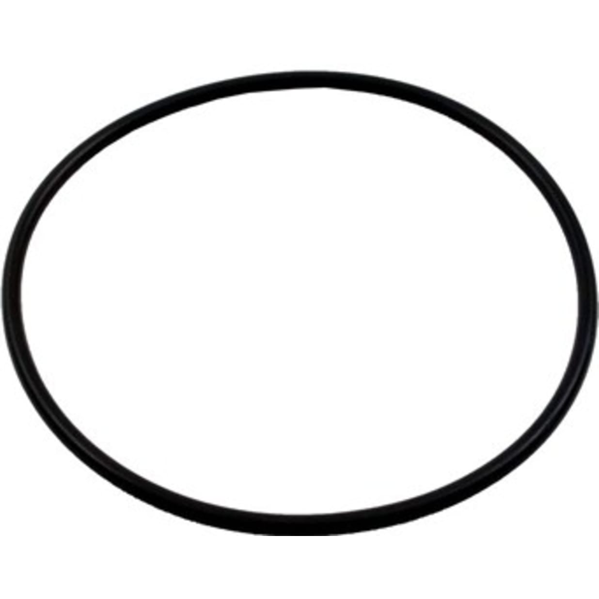 O-Ring, Filter Top 5-7/8" ID
