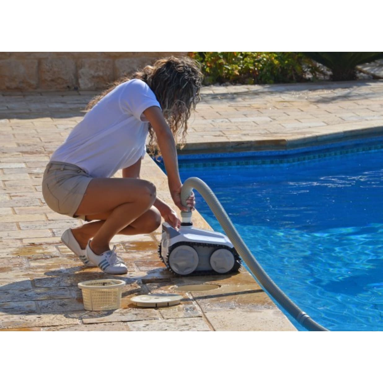 Dolphin Hybrid DX2