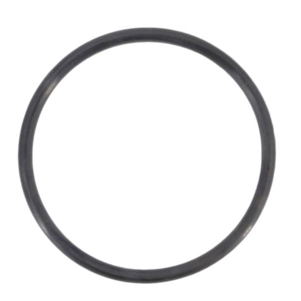 AquaPure Ei Main O-Ring