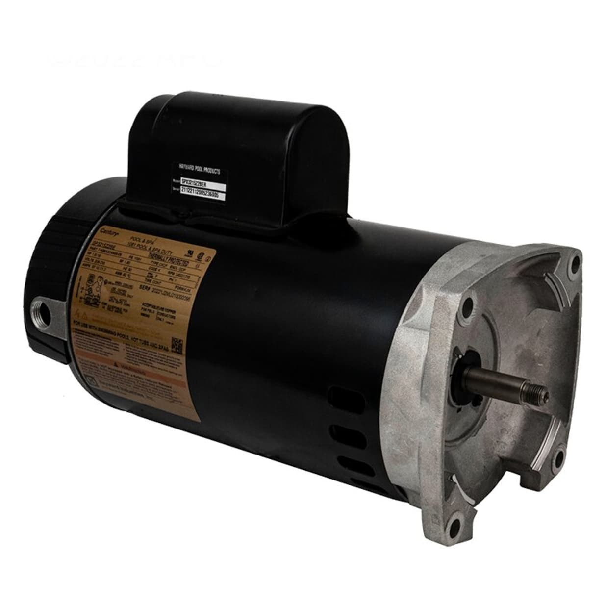 hayward motor