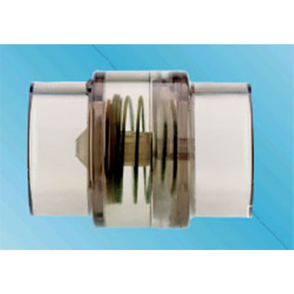 2" Clear Check Valve for Blowers