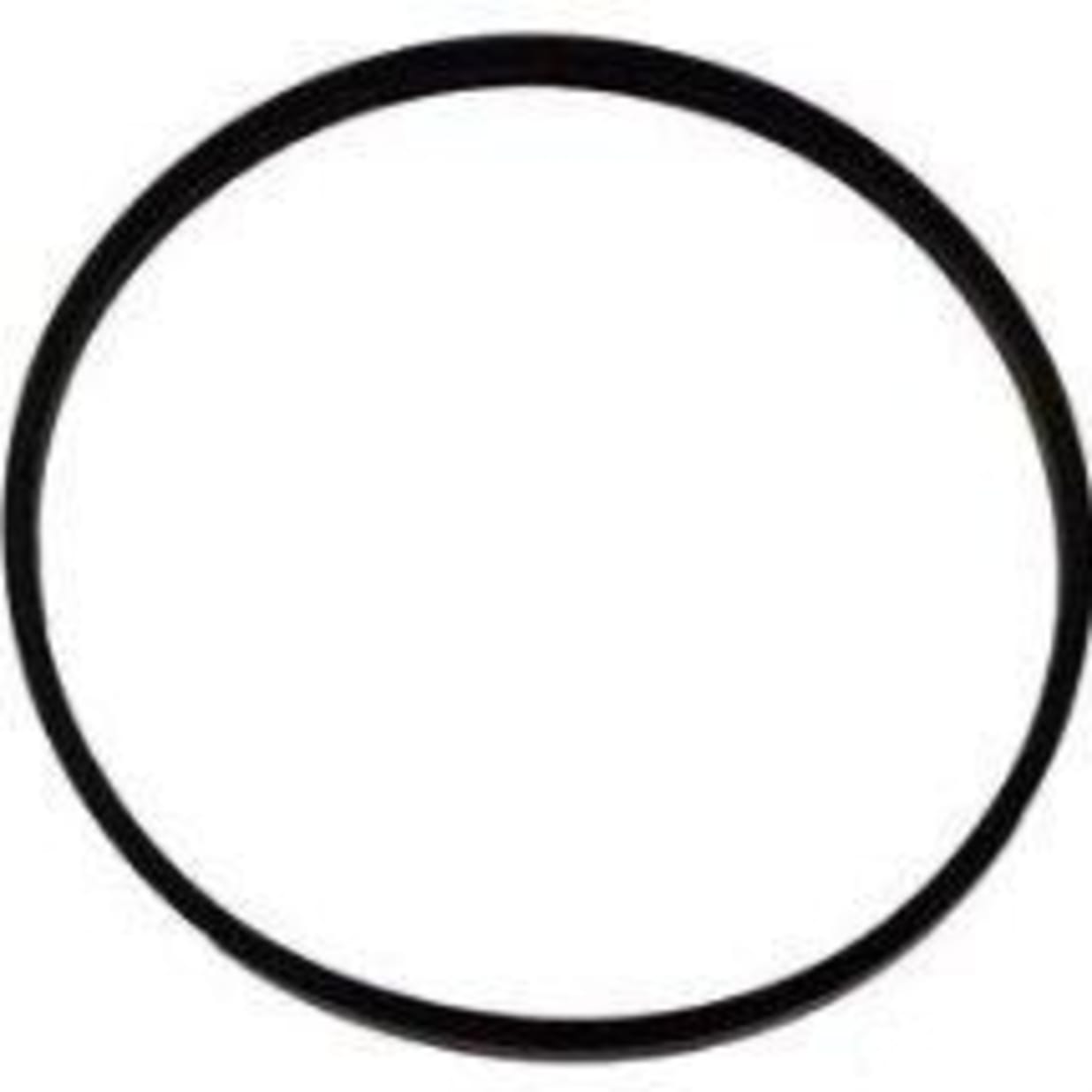 O-Ring for Hayward Max-Flo Pump and Strainer Cover; SPX0125T