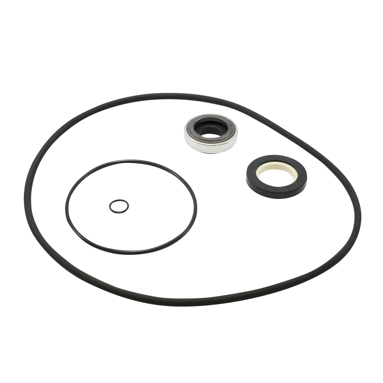 HCP Pump Seal Set