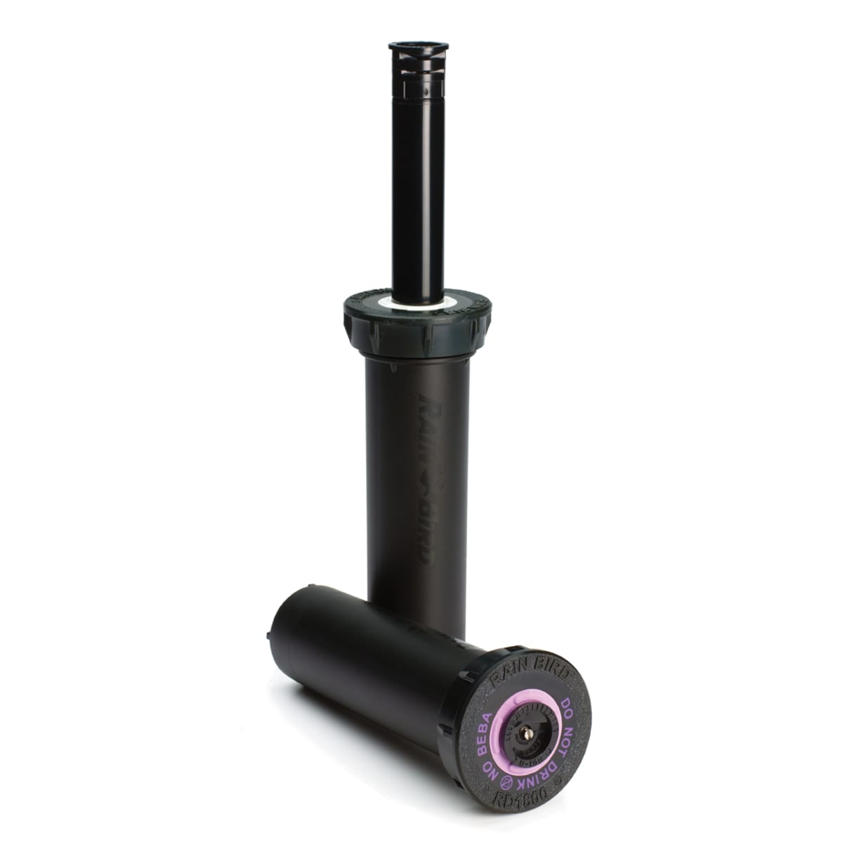 RD04SP45FN - 4" 1800 Series Spray Head- 45 Psi Pressure Regulator- Flow-Shield- Non-Potable
