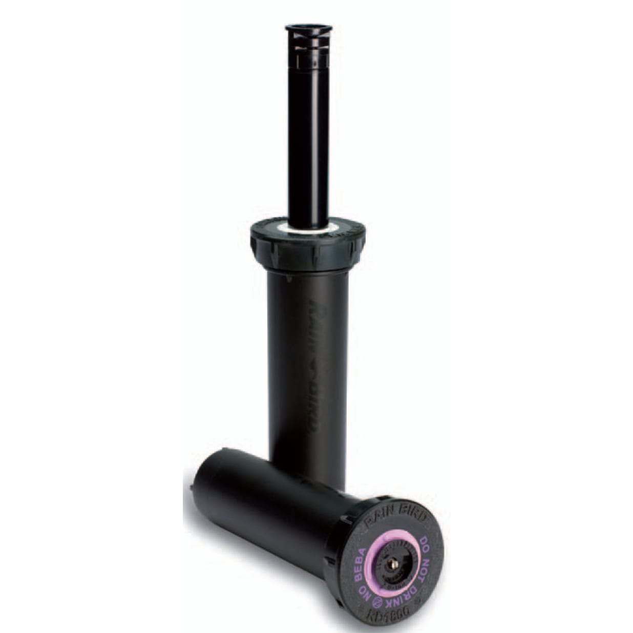 RD04NP - 4 in. RD1800 Series Spray Head, Non-Potable