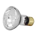 Bulb, 100W 12V, Incandescent