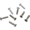 Main Drain Frame Screws (8 per pack)