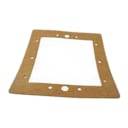 Skimmer Gasket