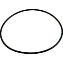 MaxFlo II Strainer Cover O-Ring