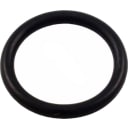 1" O-Ring
